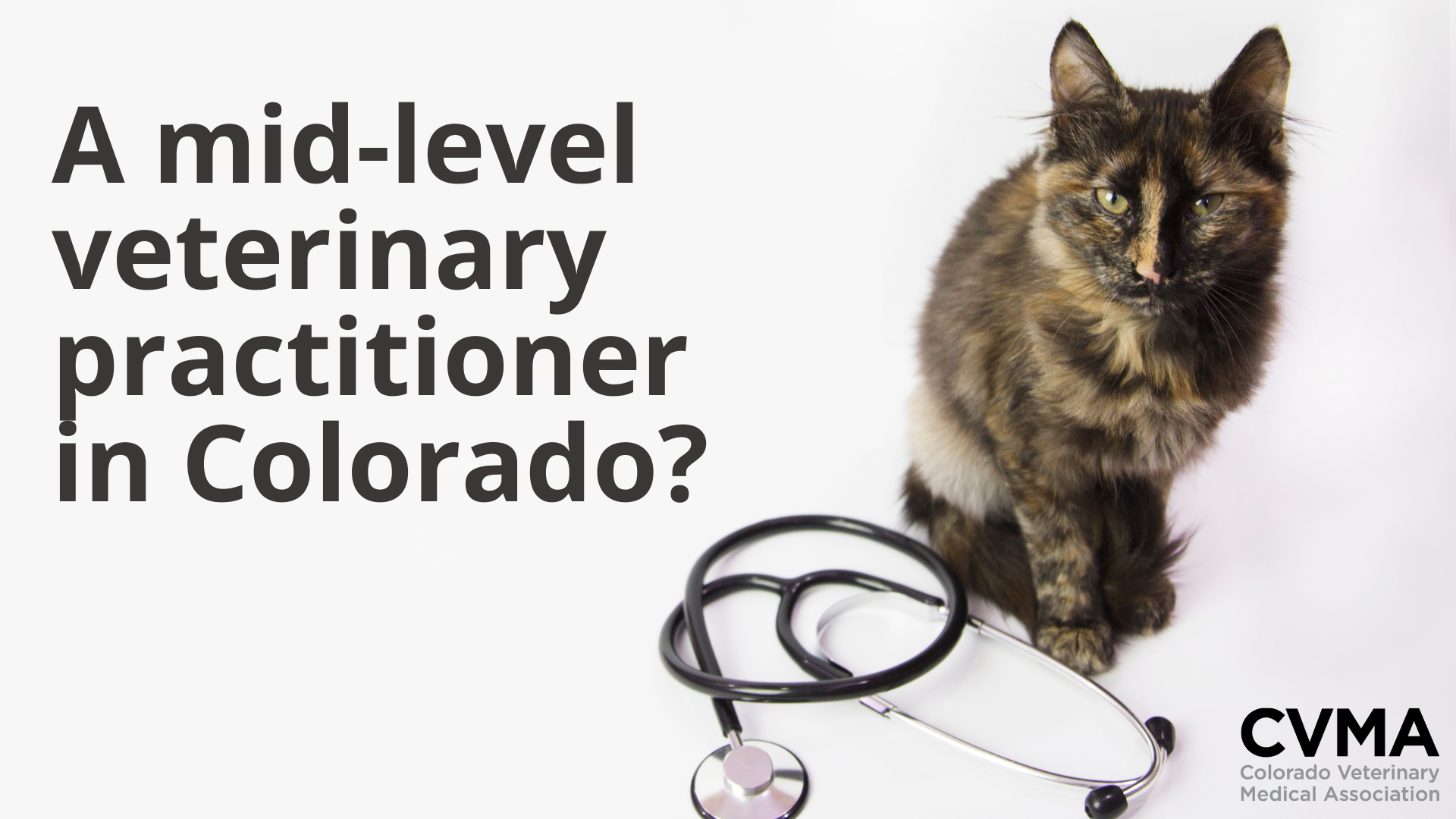 CVMA  A mid-level veterinary practitioner in Colorado? An introduction.